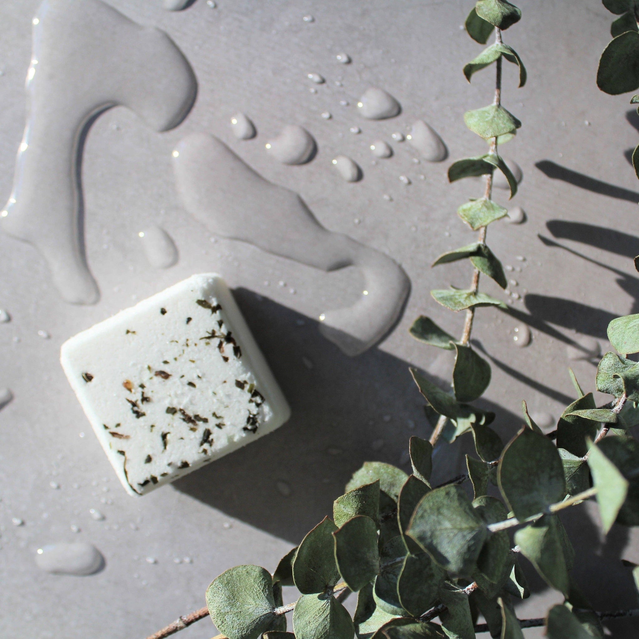 Eucalyptus shower steamer with eucalyptus branch on a wet gray bath floor